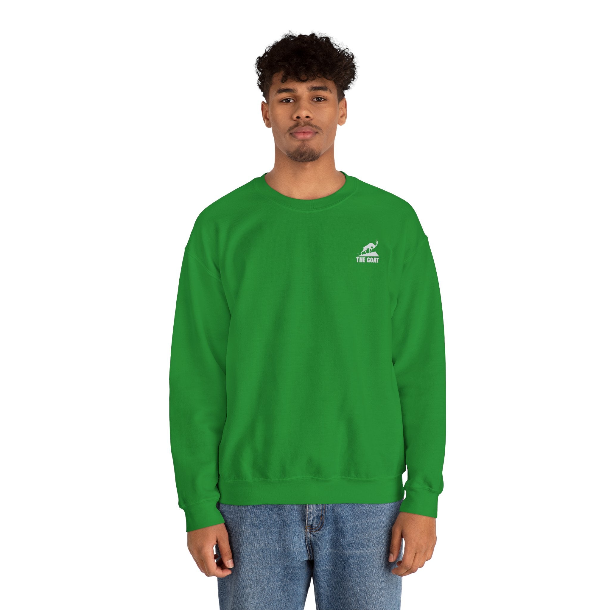 Casual Wear Crewneck Bright