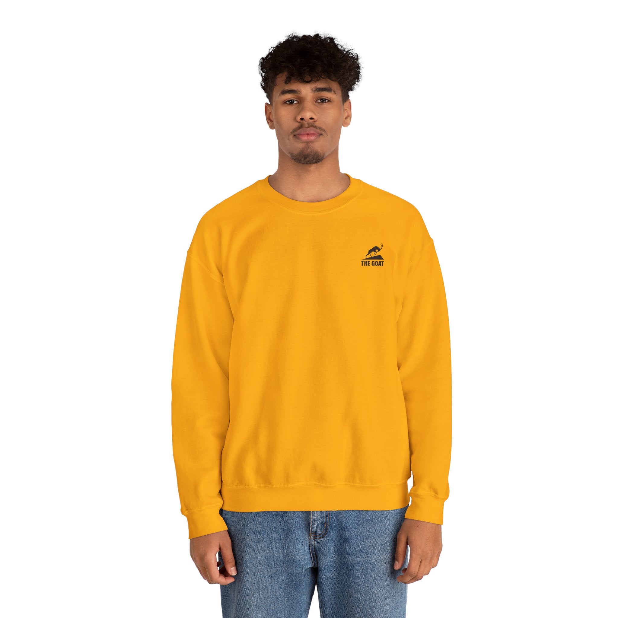 Casual Wear Crewneck Bright