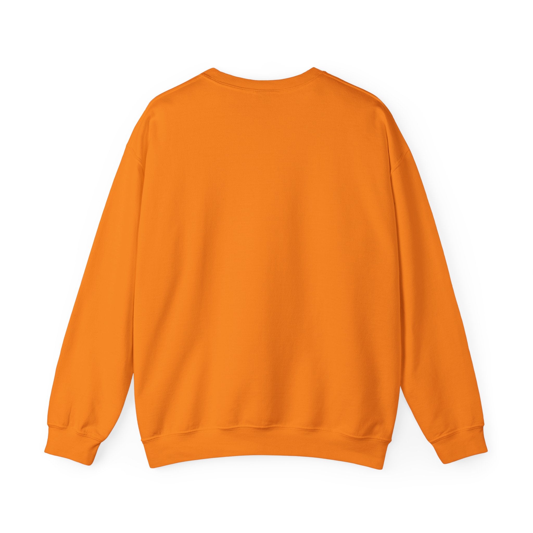 Casual Wear Crewneck Bright