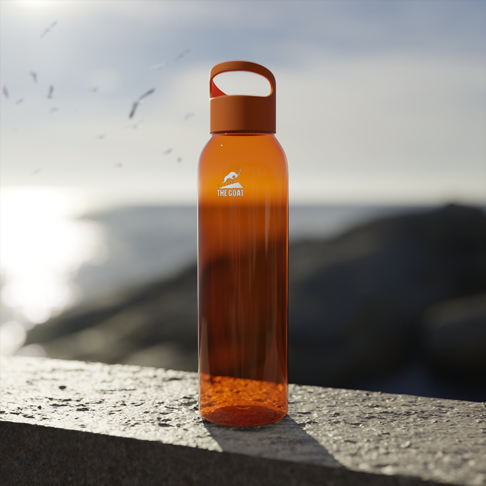 Sports Water Bottle