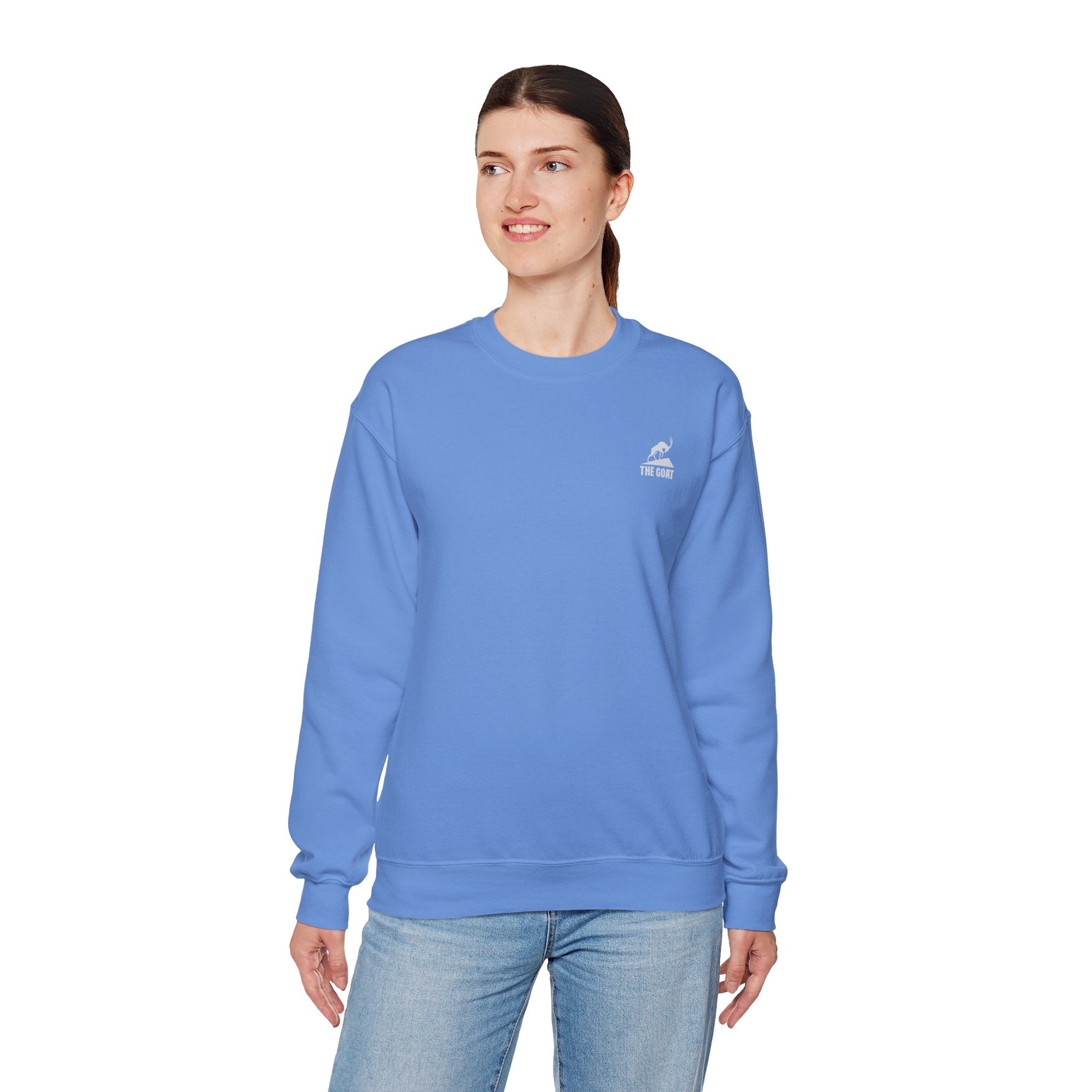 Casual Wear Crewneck Bright
