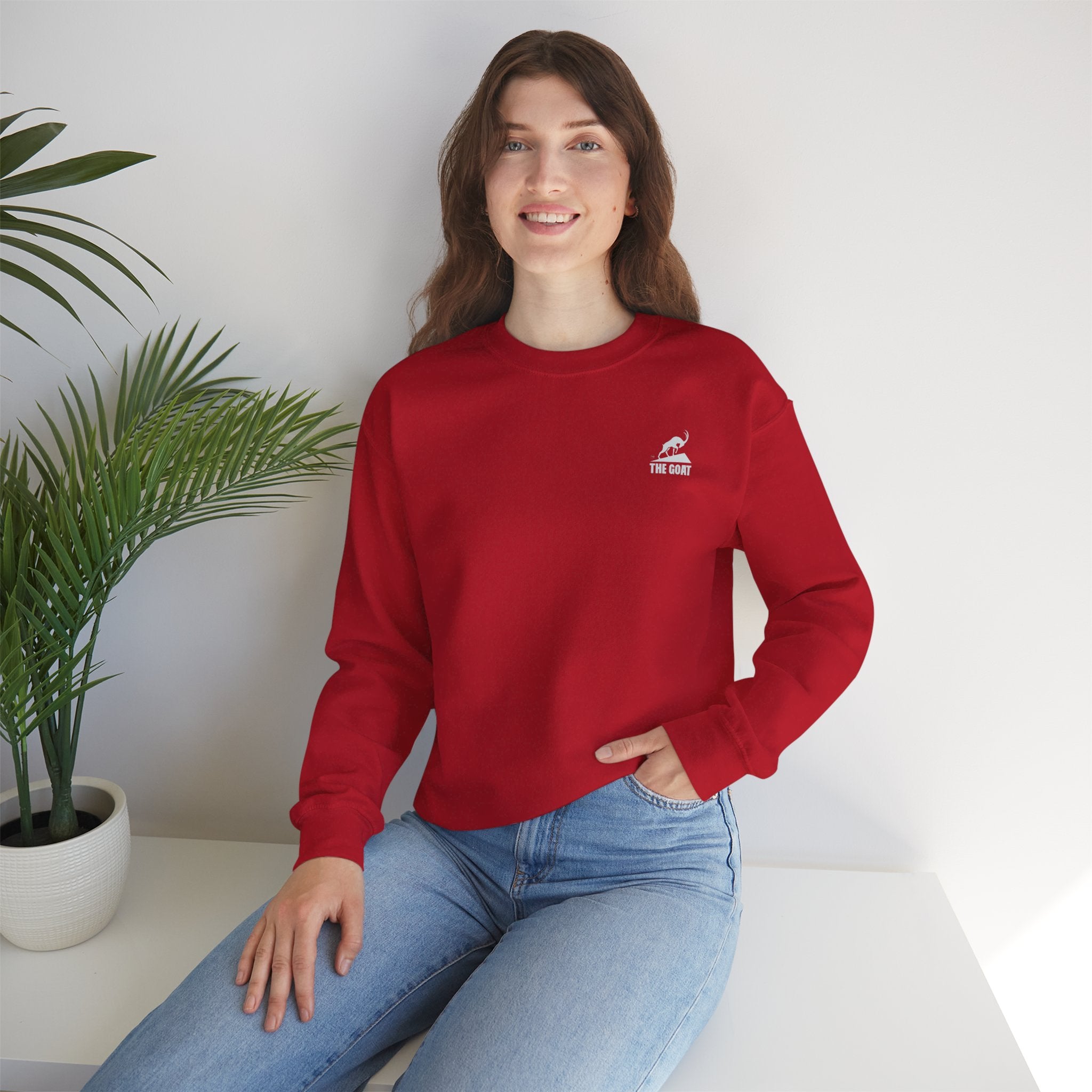 Casual Wear Crewneck Bright