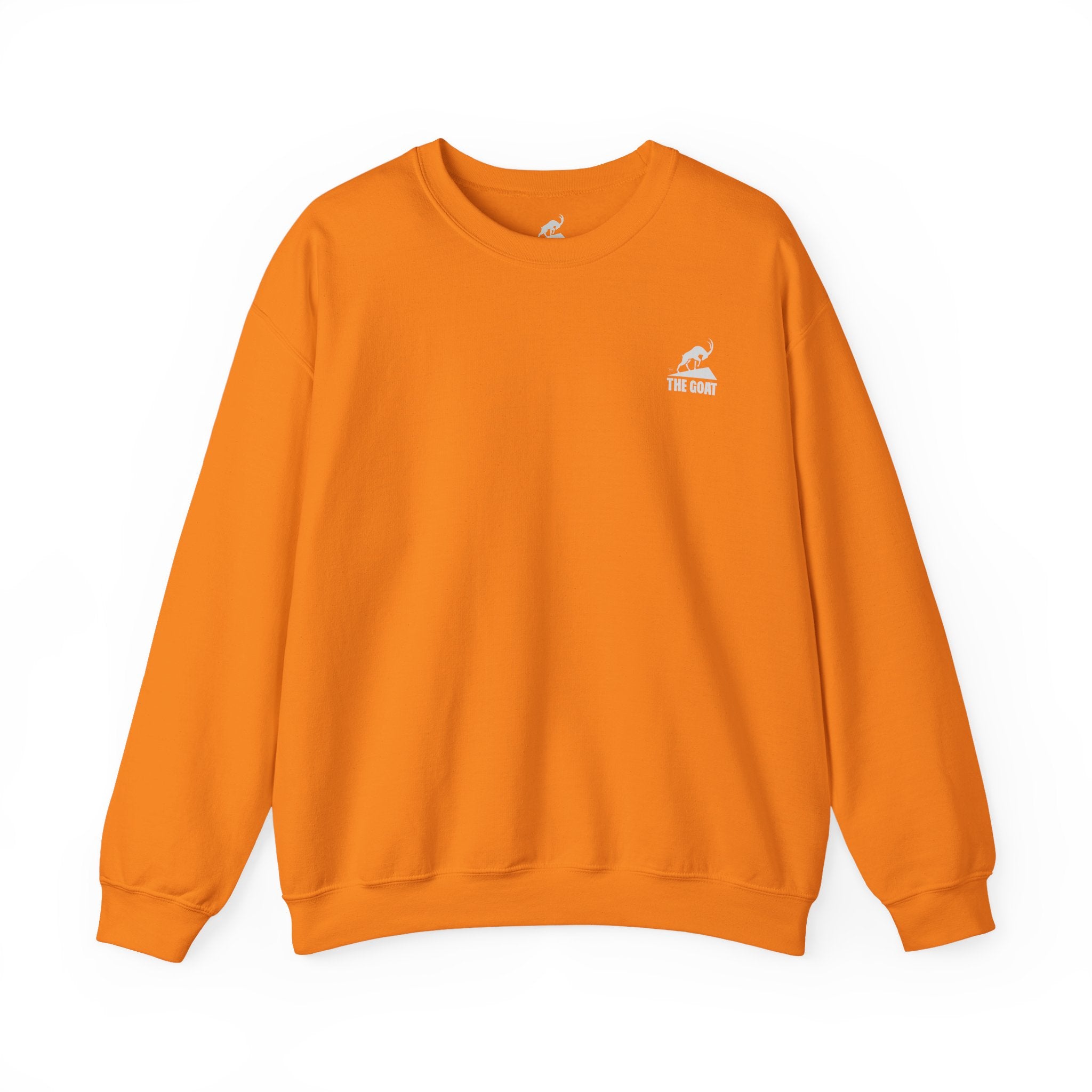 Casual Wear Crewneck Bright