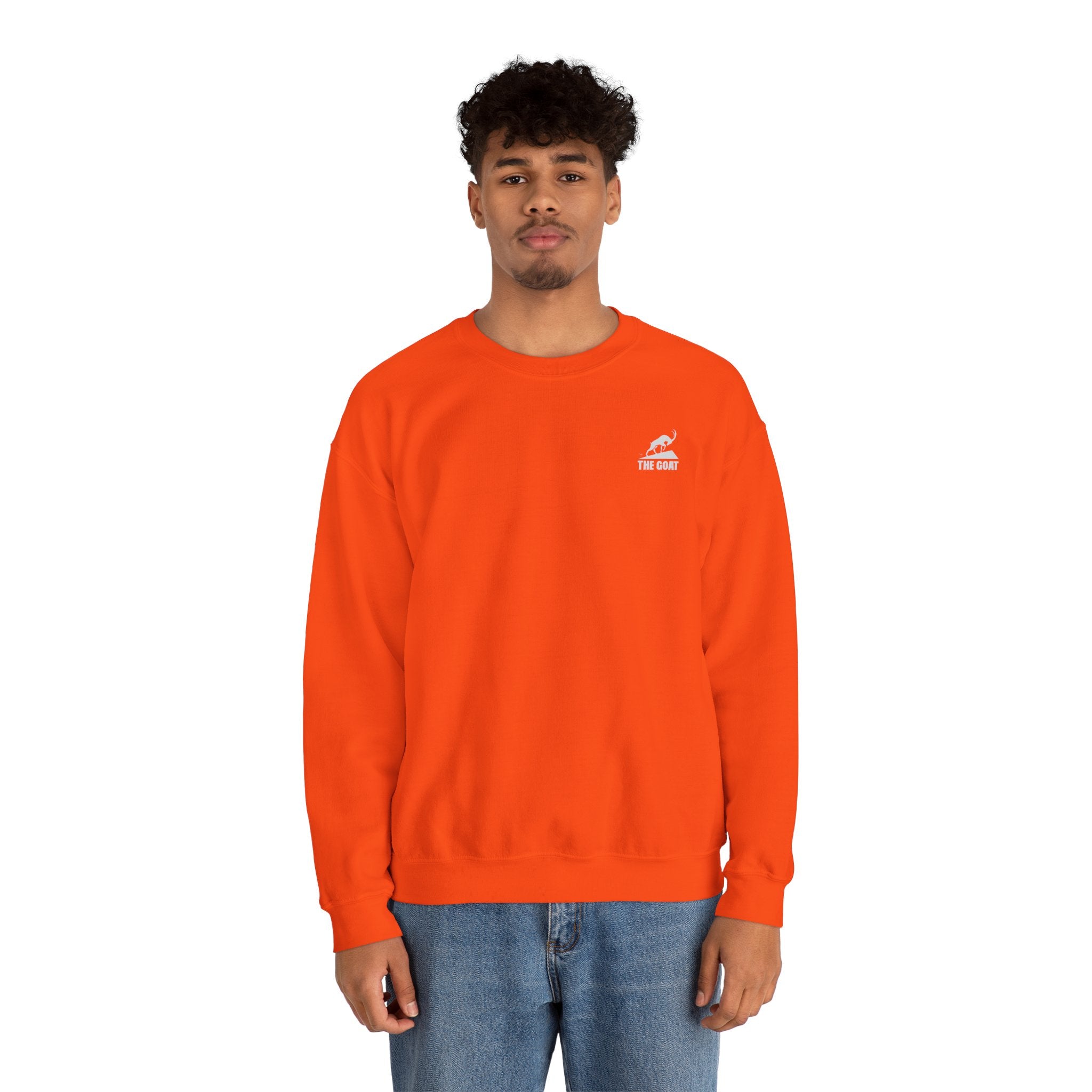 Casual Wear Crewneck Bright