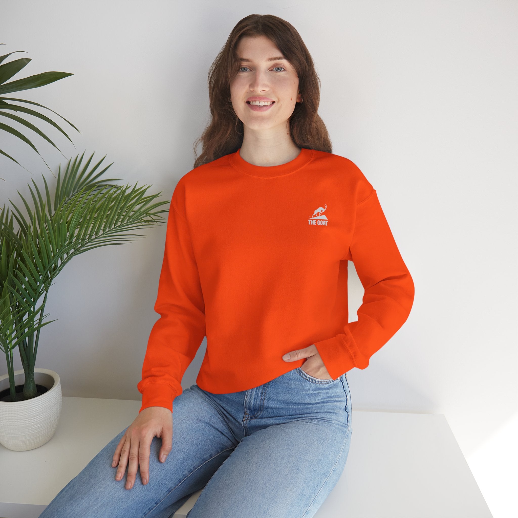Casual Wear Crewneck Bright