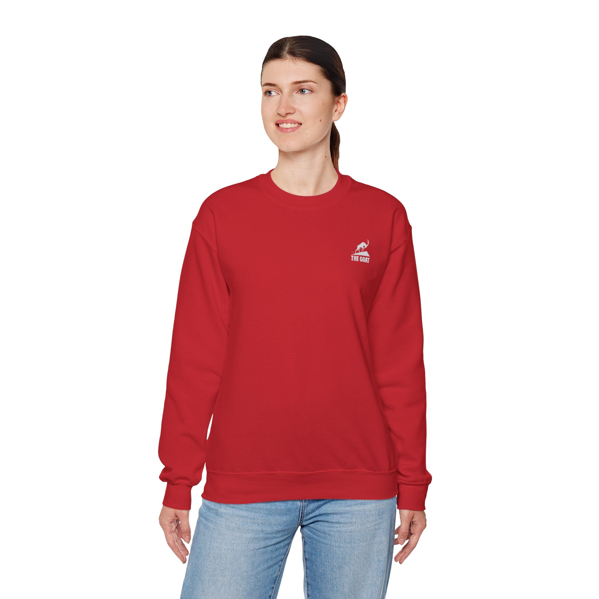 Casual Wear Crewneck Bright