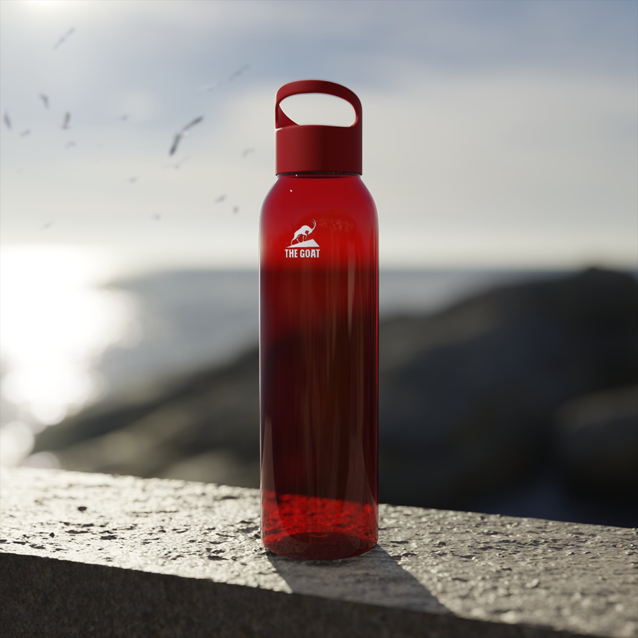 Sports Water Bottle