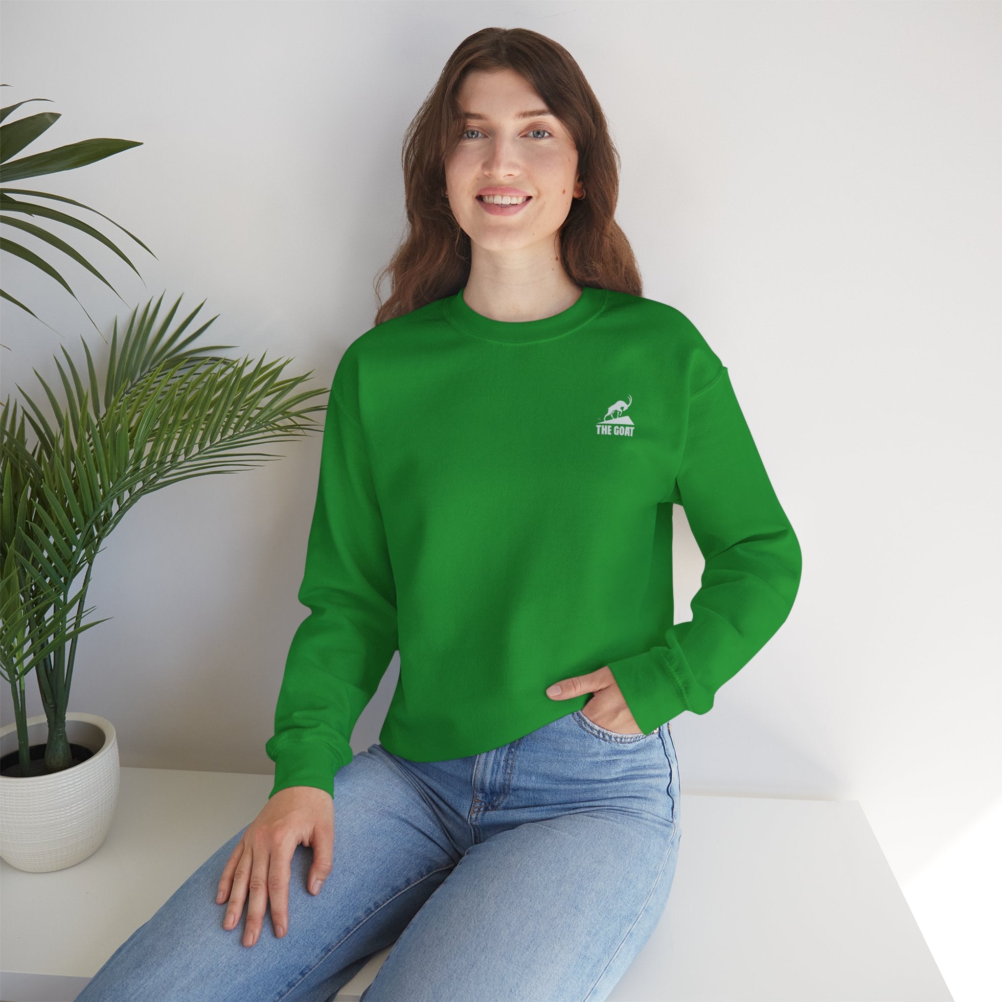 Casual Wear Crewneck Bright