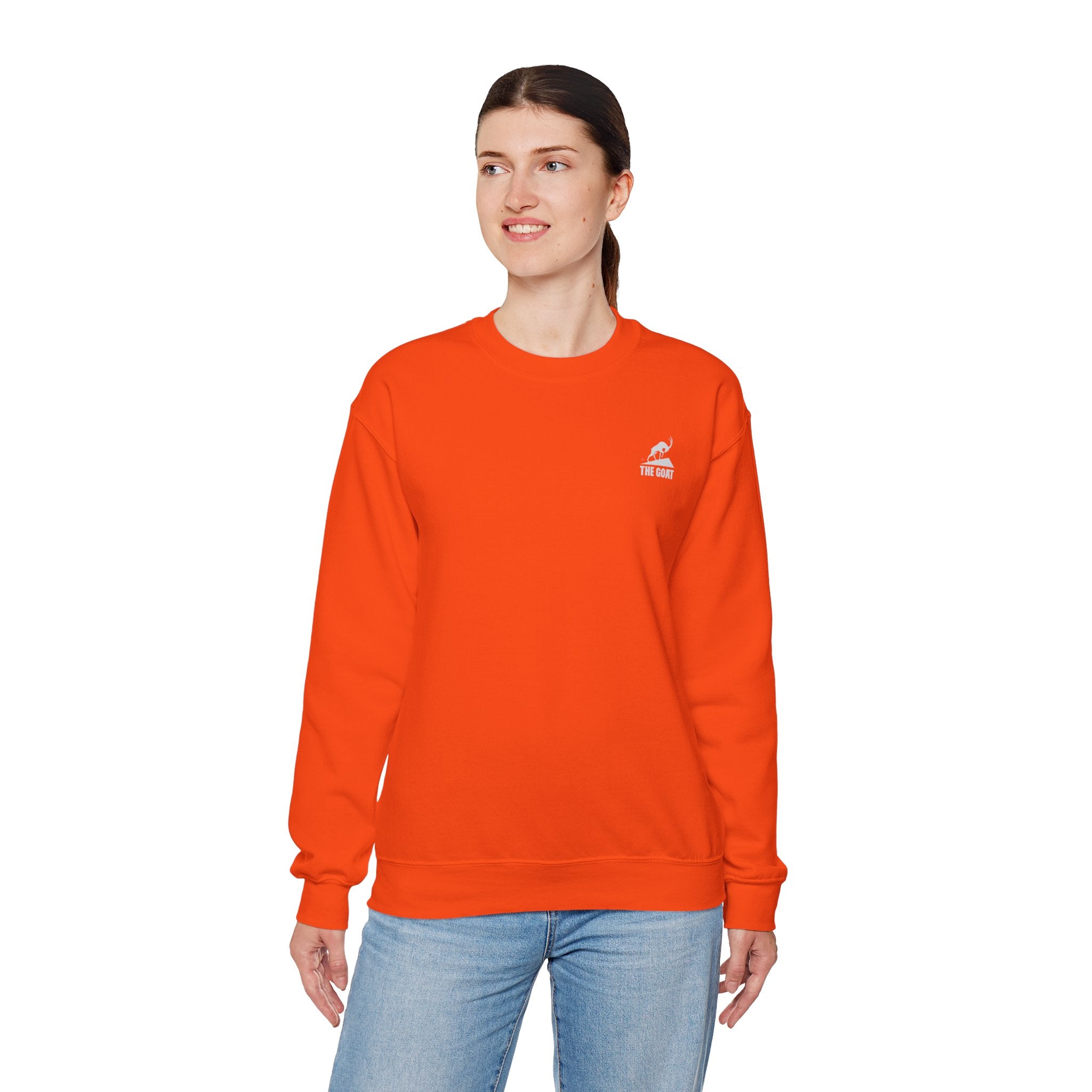 Casual Wear Crewneck Bright