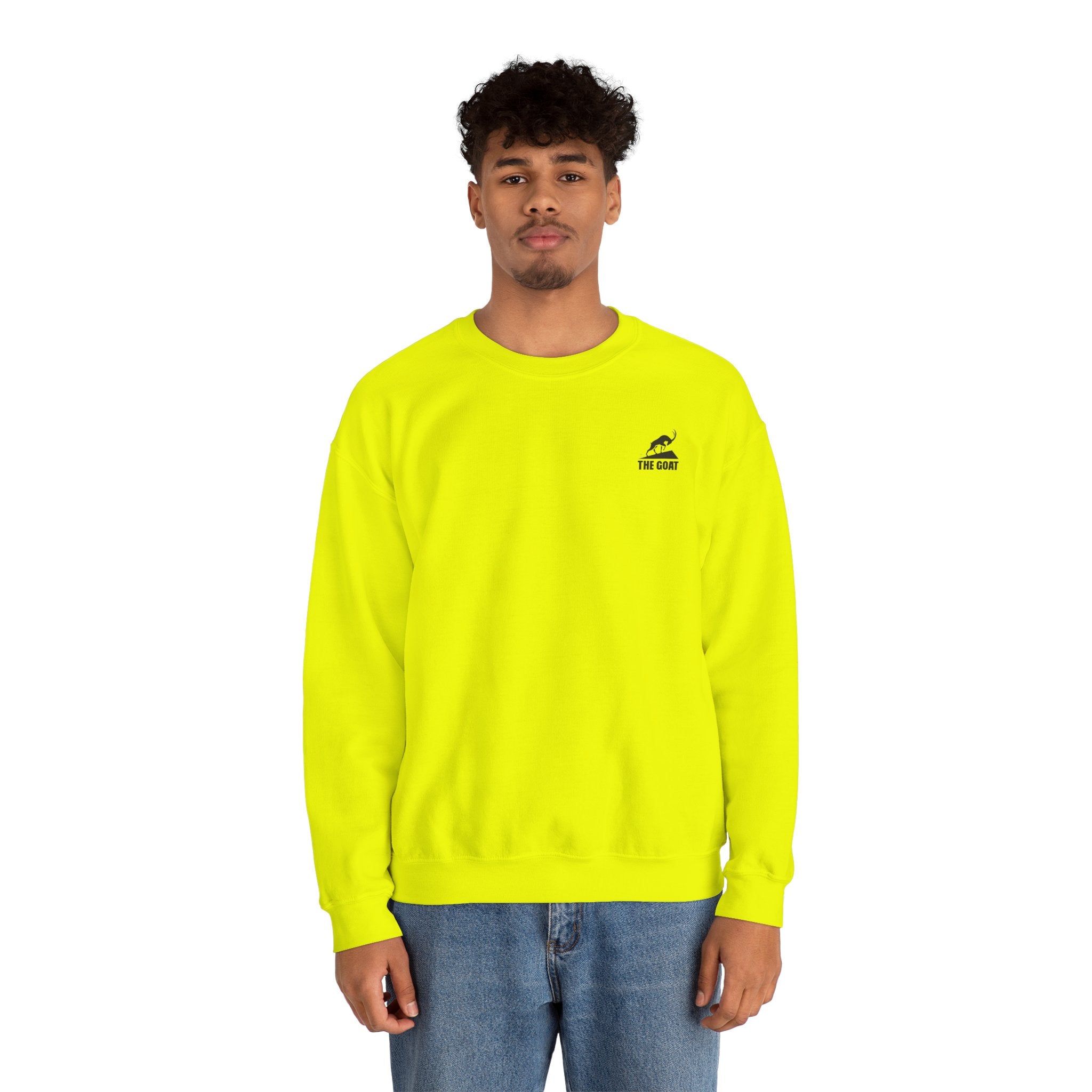 Casual Wear Crewneck Bright