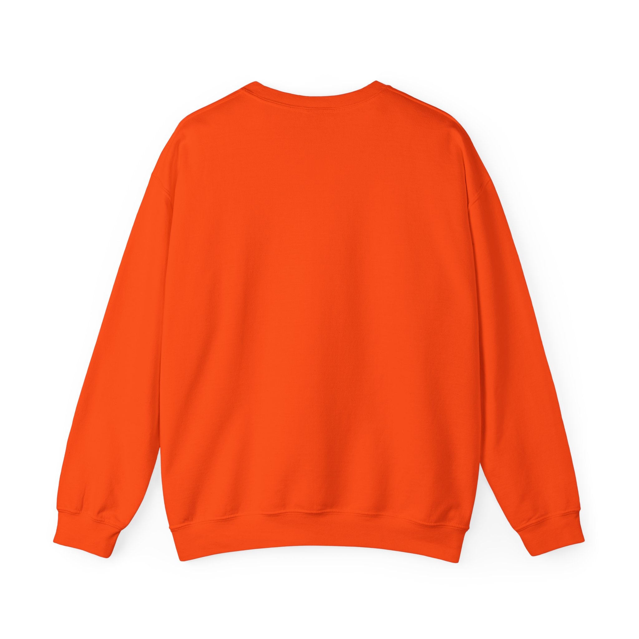 Casual Wear Crewneck Bright