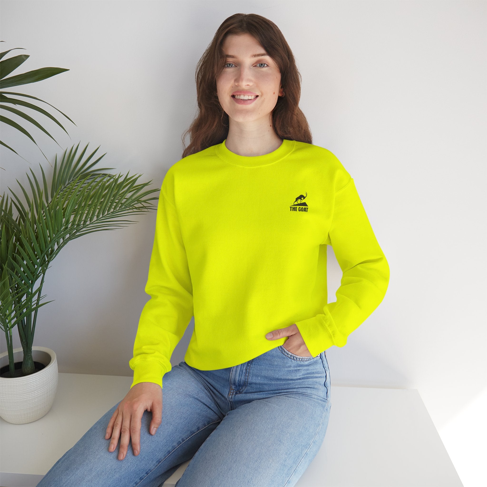 Casual Wear Crewneck Bright