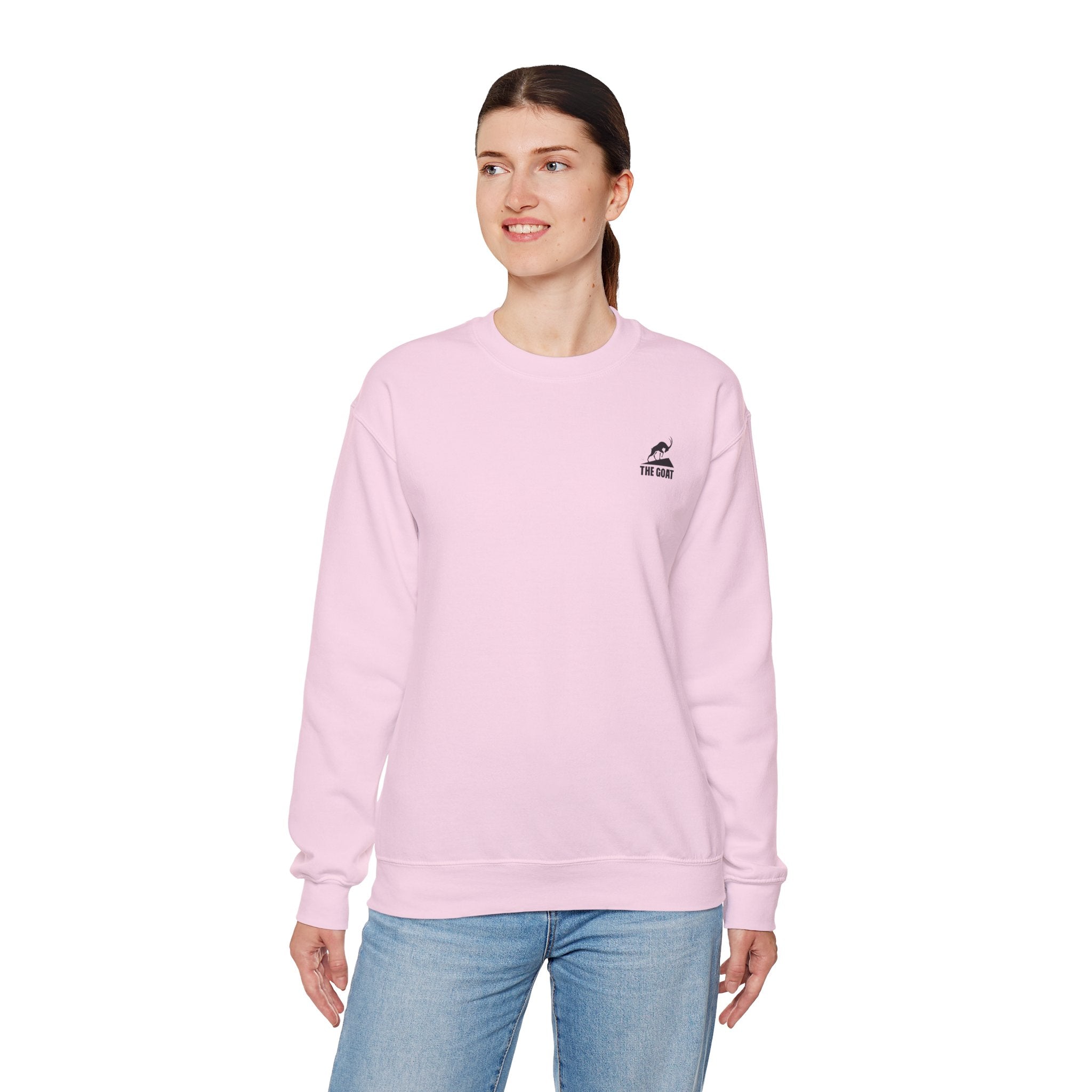 Casual Wear Crewneck Bright