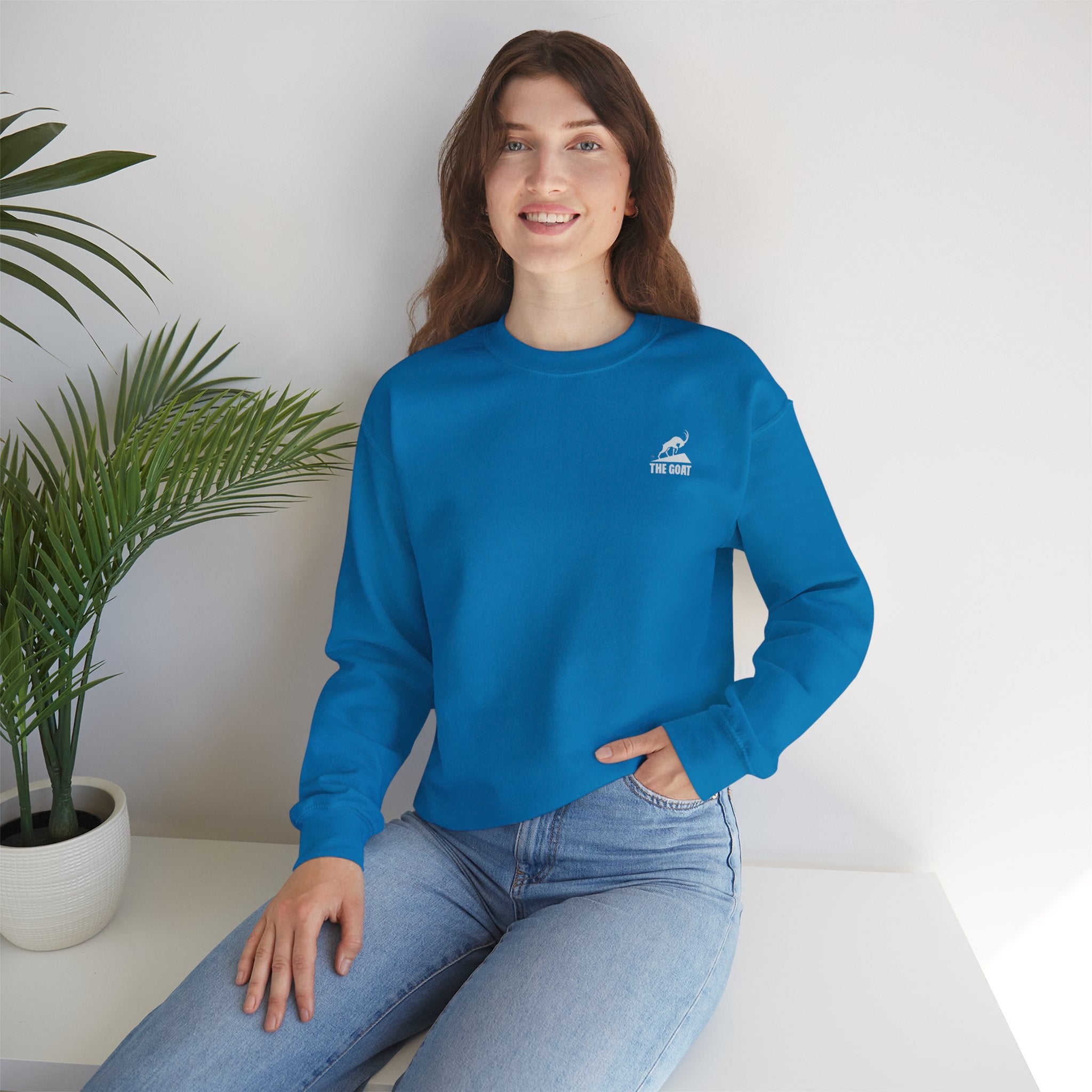 Casual Wear Crewneck Bright
