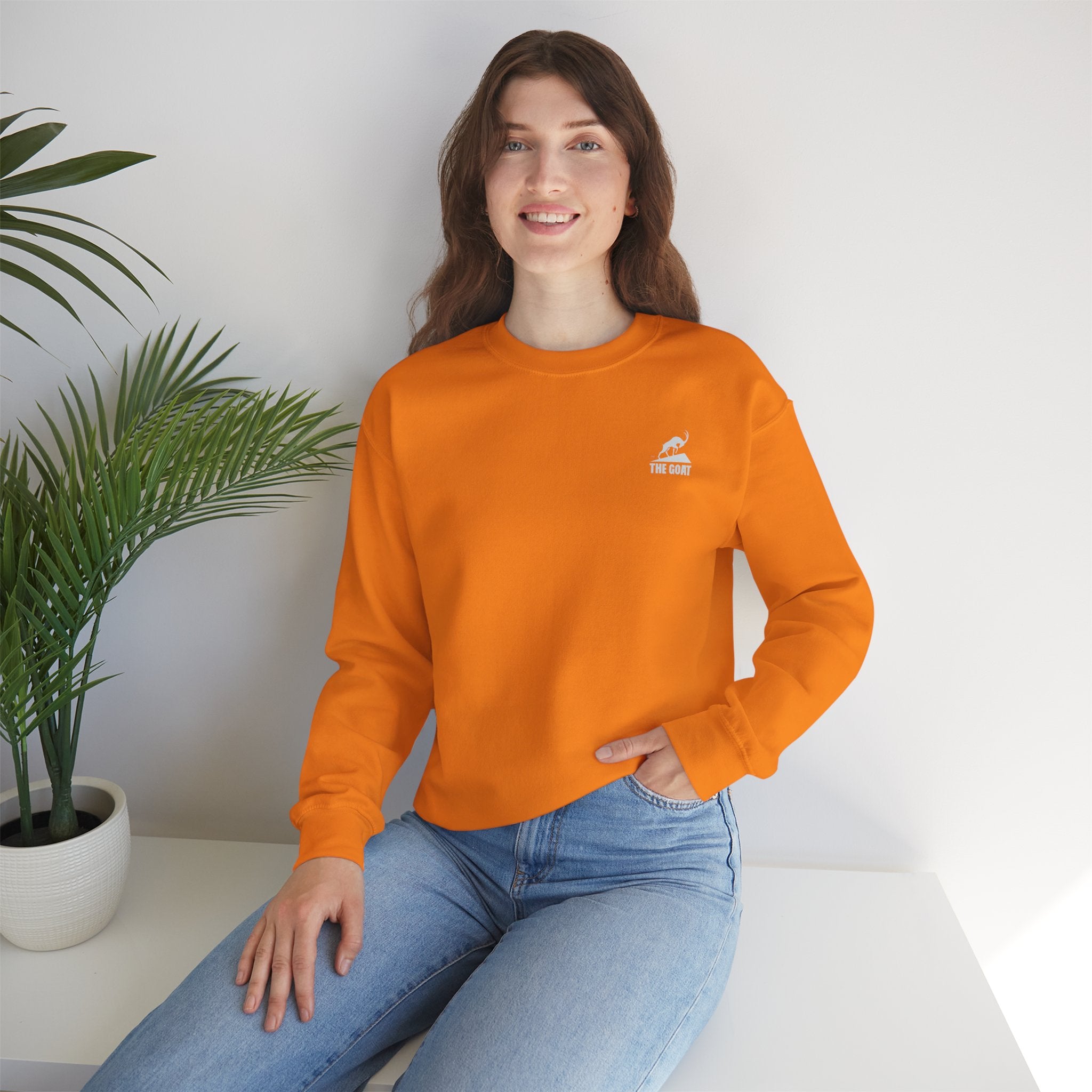 Casual Wear Crewneck Bright