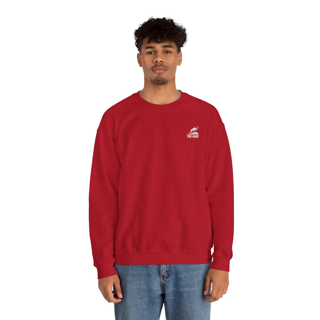 Casual Wear Crewneck Bright