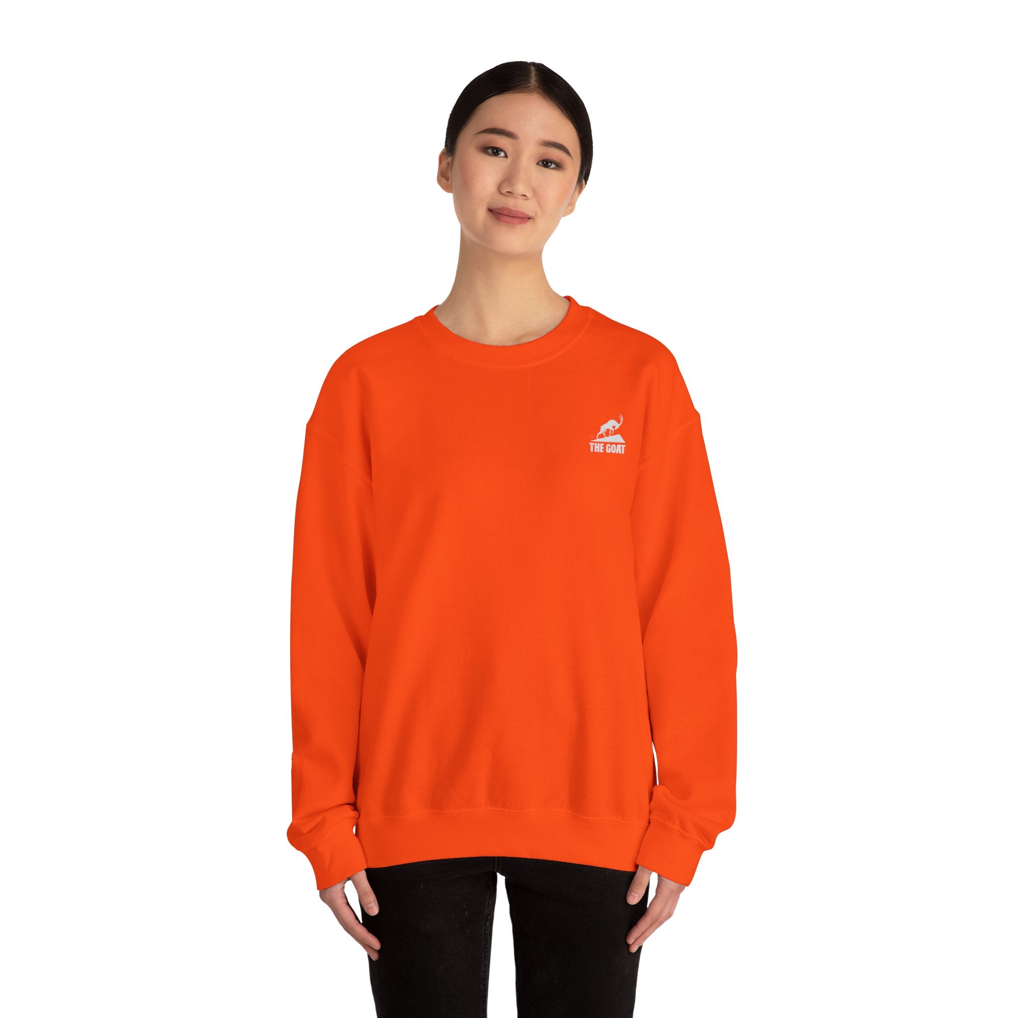 Casual Wear Crewneck Bright