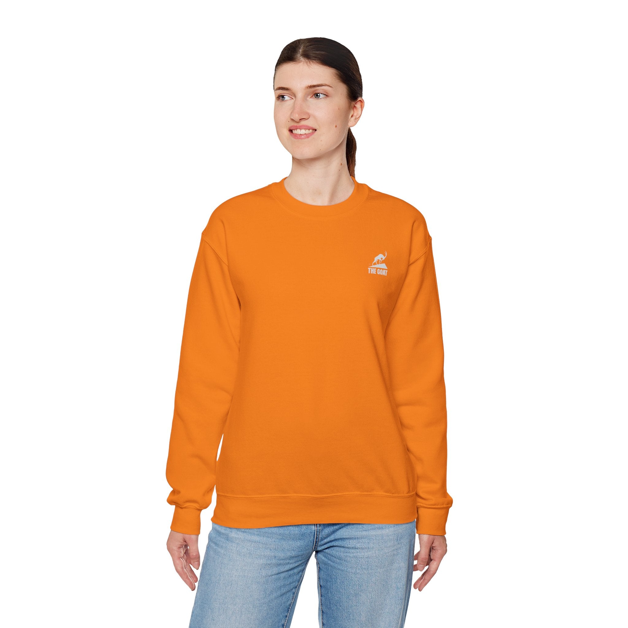 Casual Wear Crewneck Bright