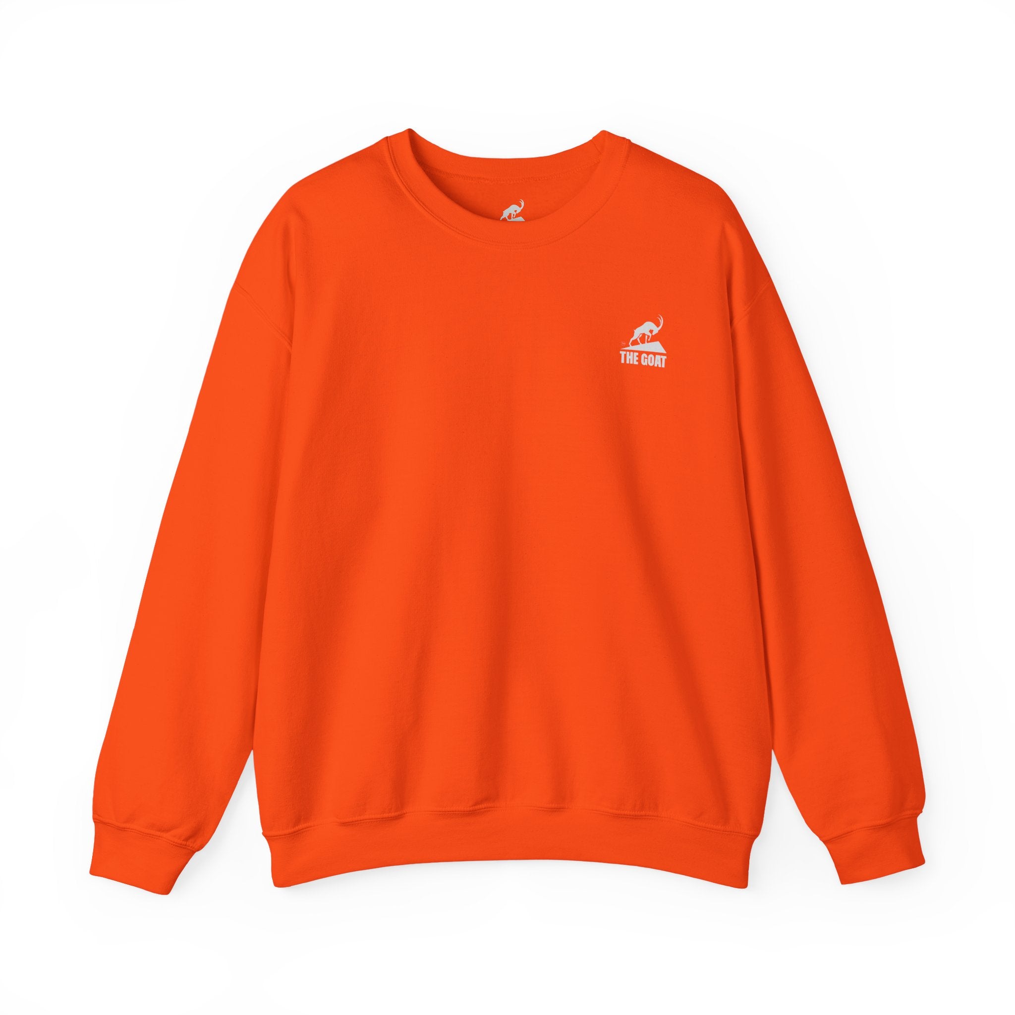Casual Wear Crewneck Bright