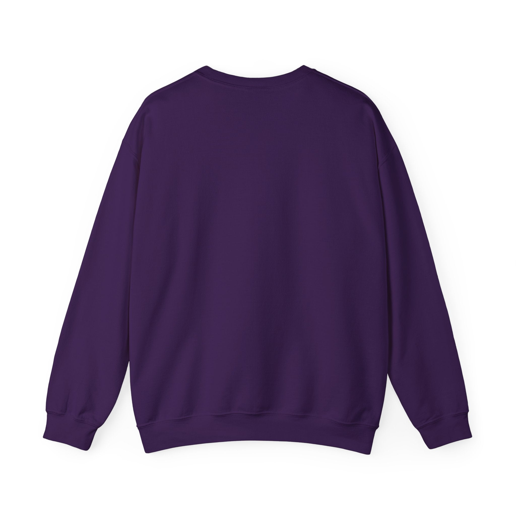 Casual Wear Crewneck Bright