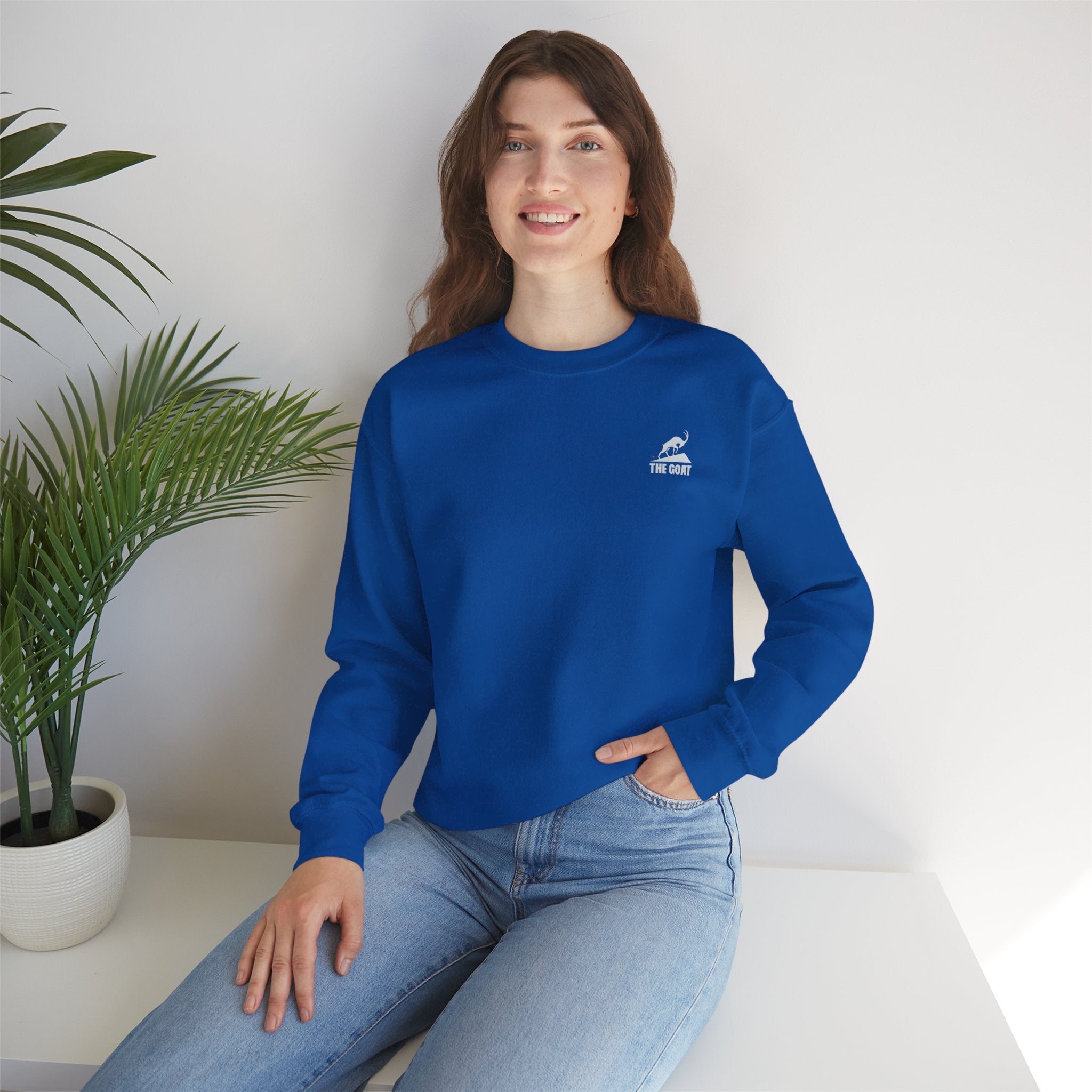 Casual Wear Crewneck Bright