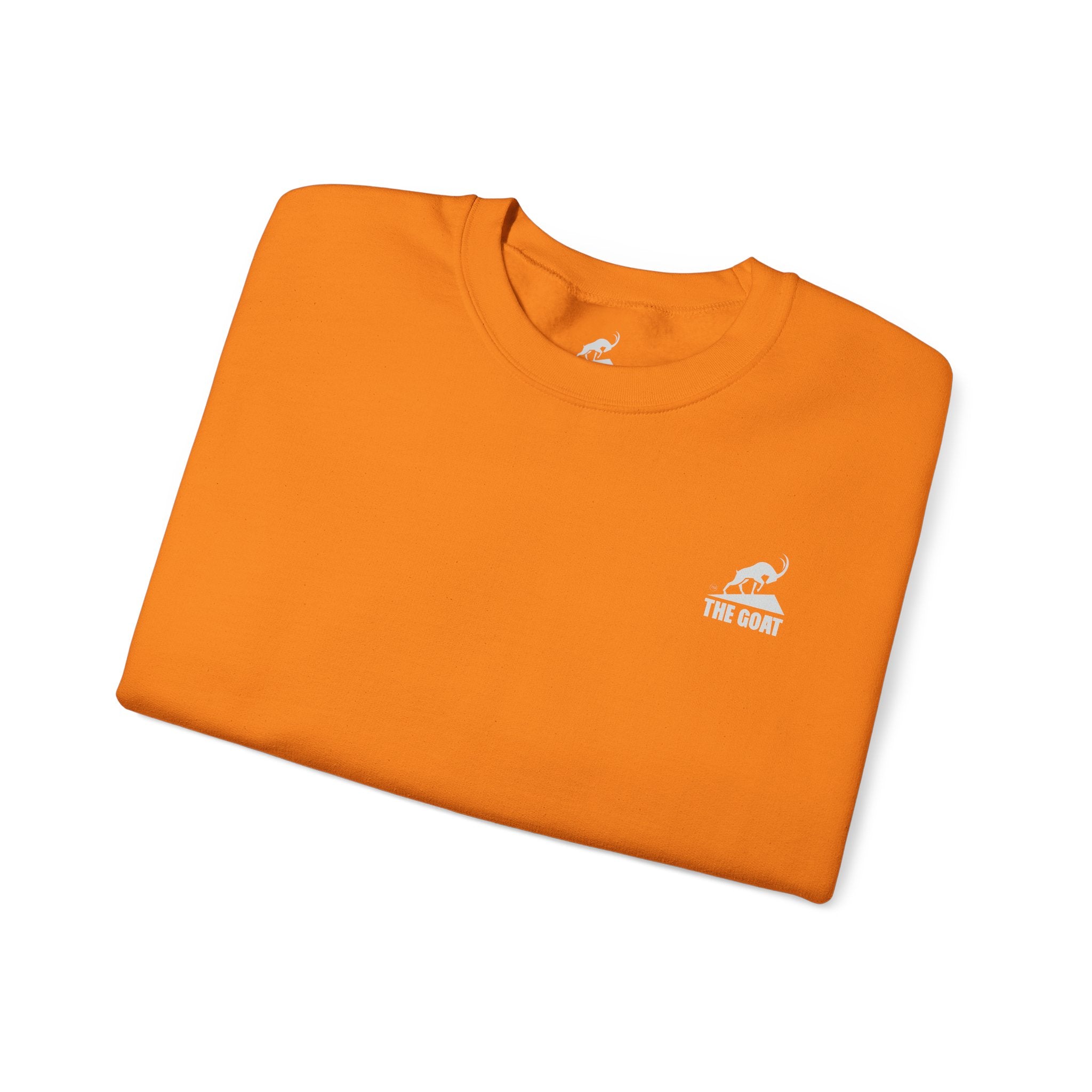 Casual Wear Crewneck Bright