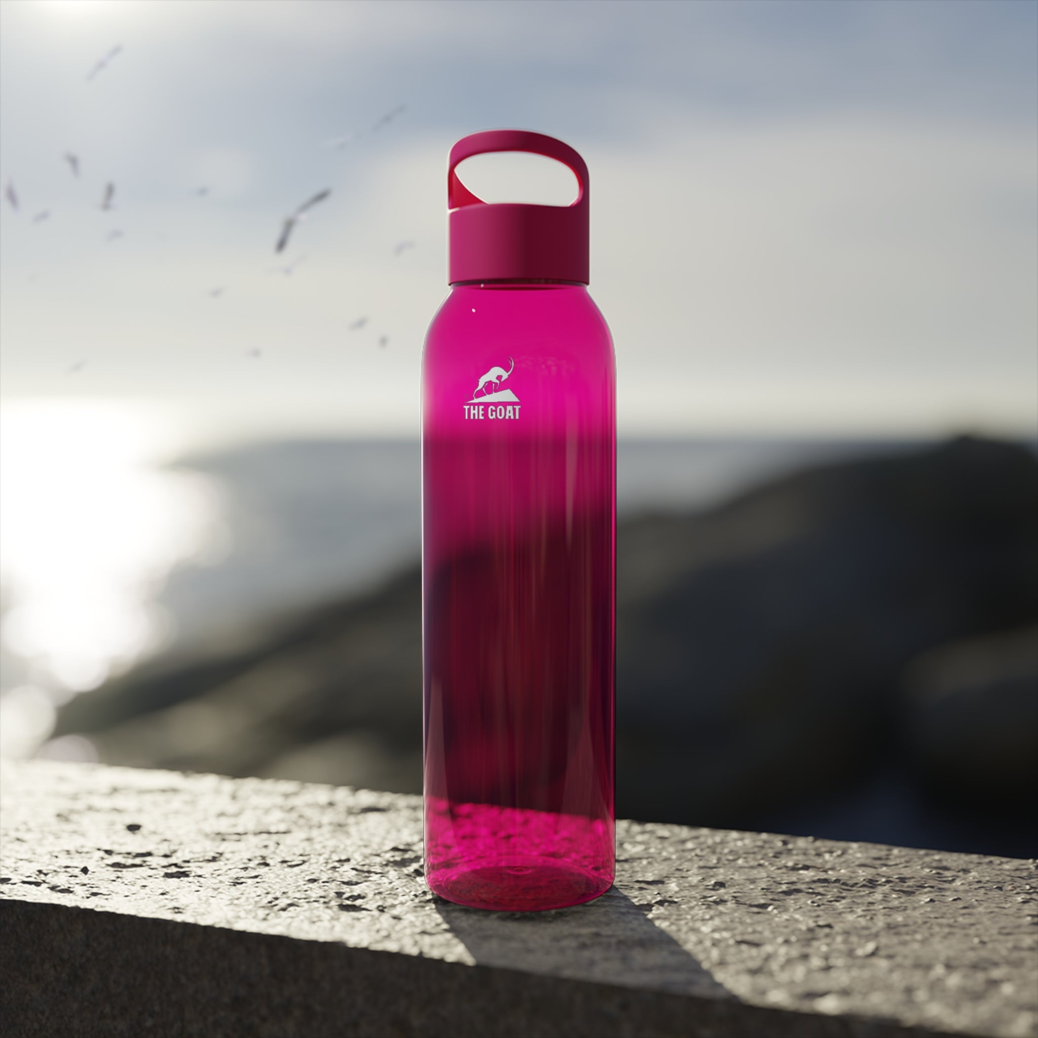 Sports Water Bottle