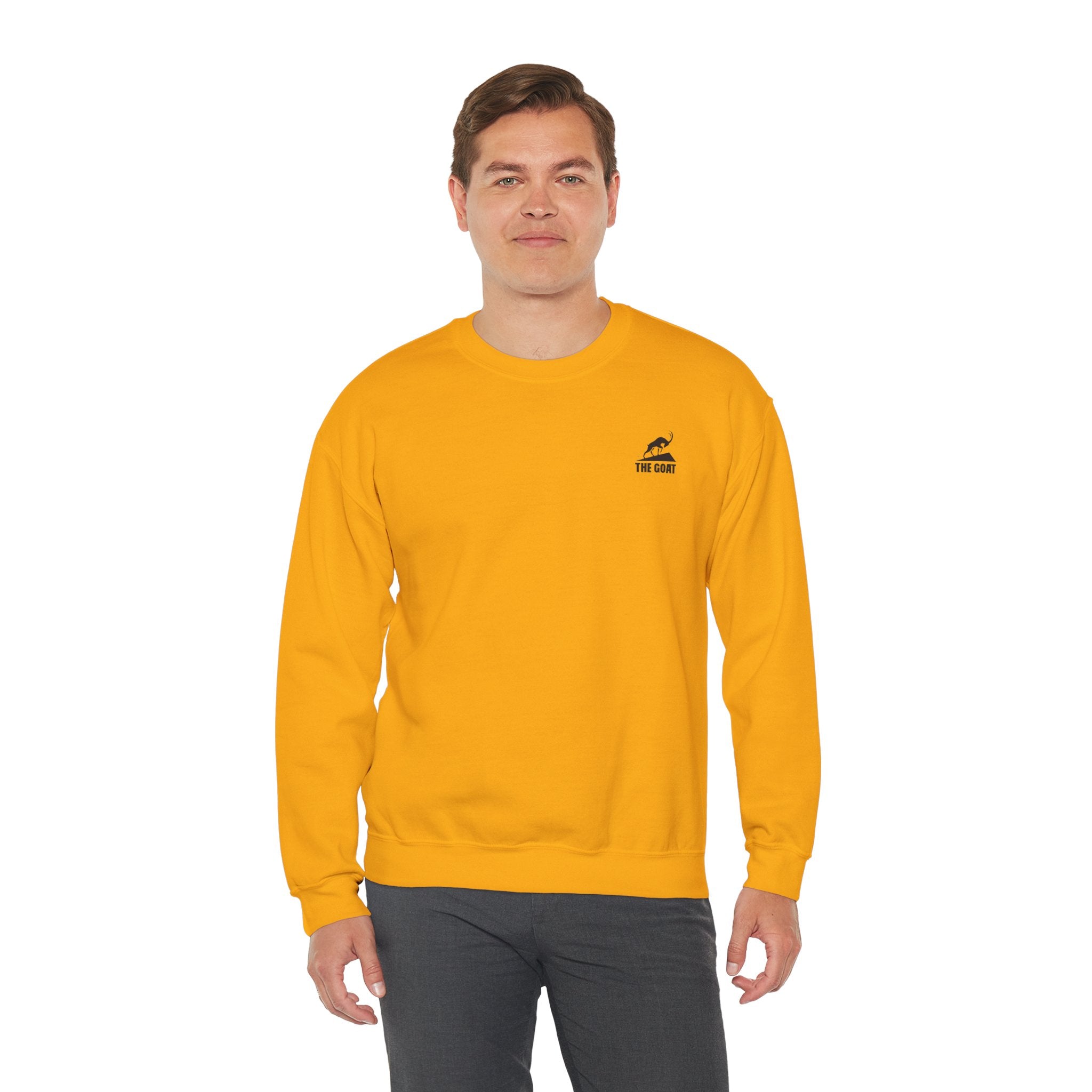 Casual Wear Crewneck Bright