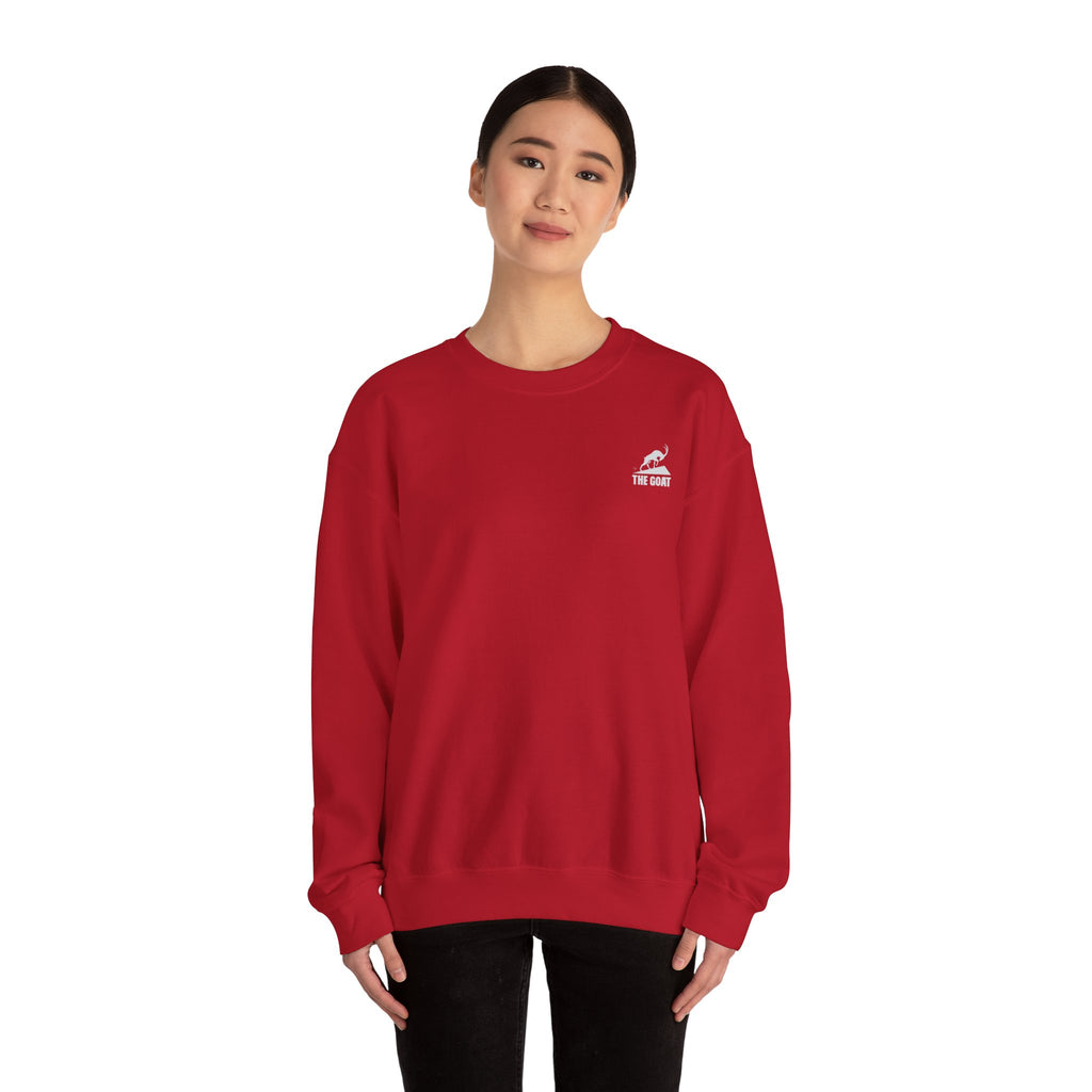 Casual Wear Crewneck Bright