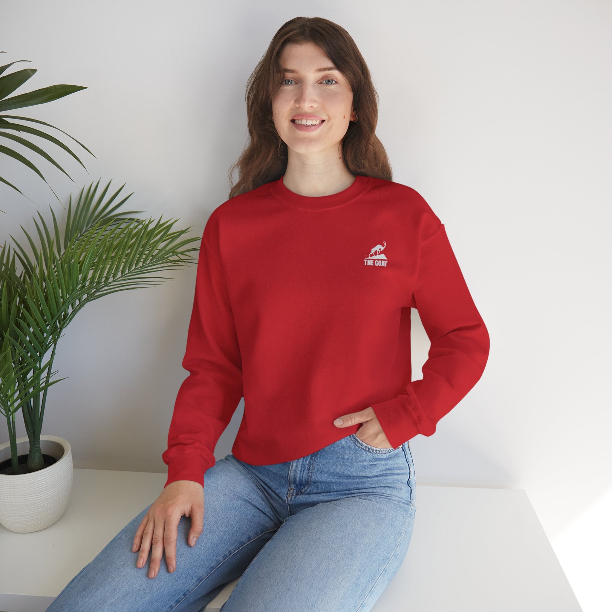 Casual Wear Crewneck Bright